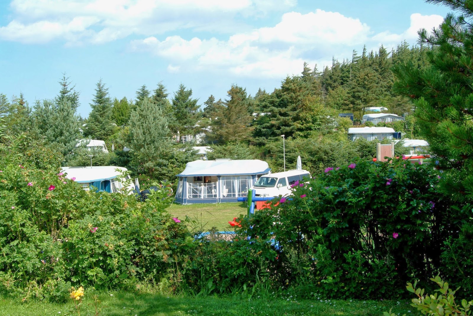 Guldager Camping