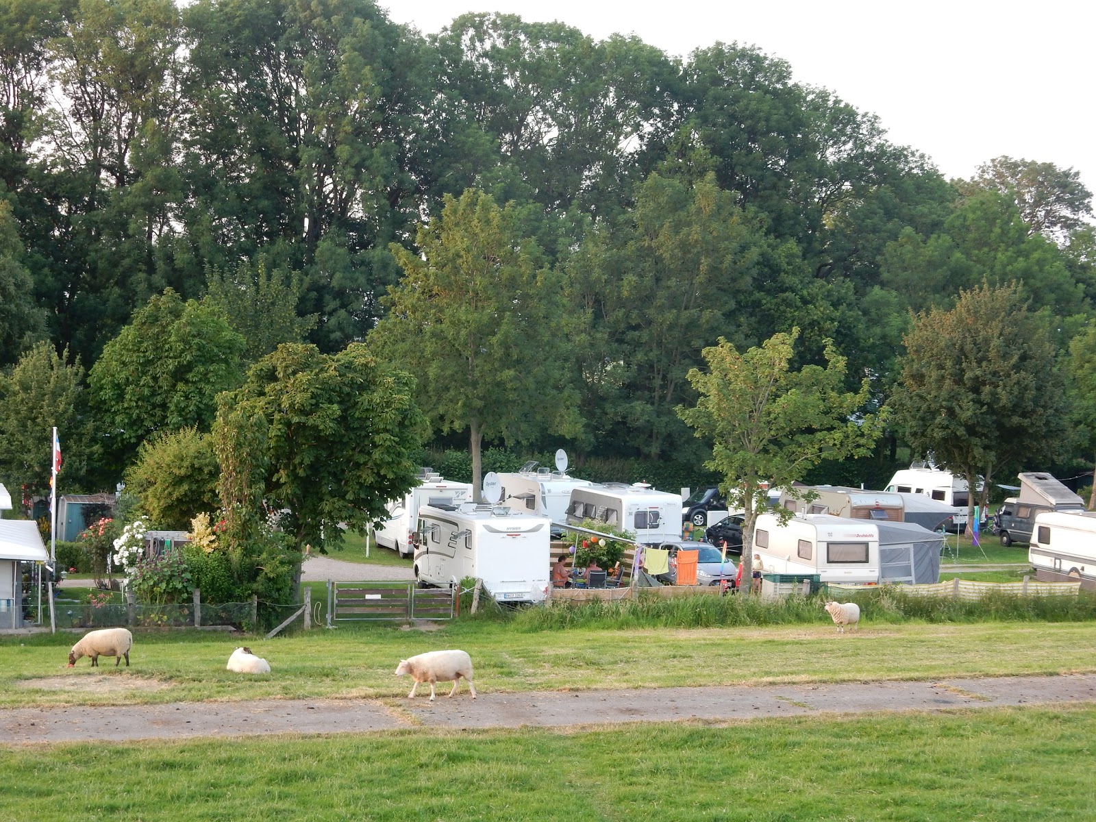Elbdeich Camping Kollmar
