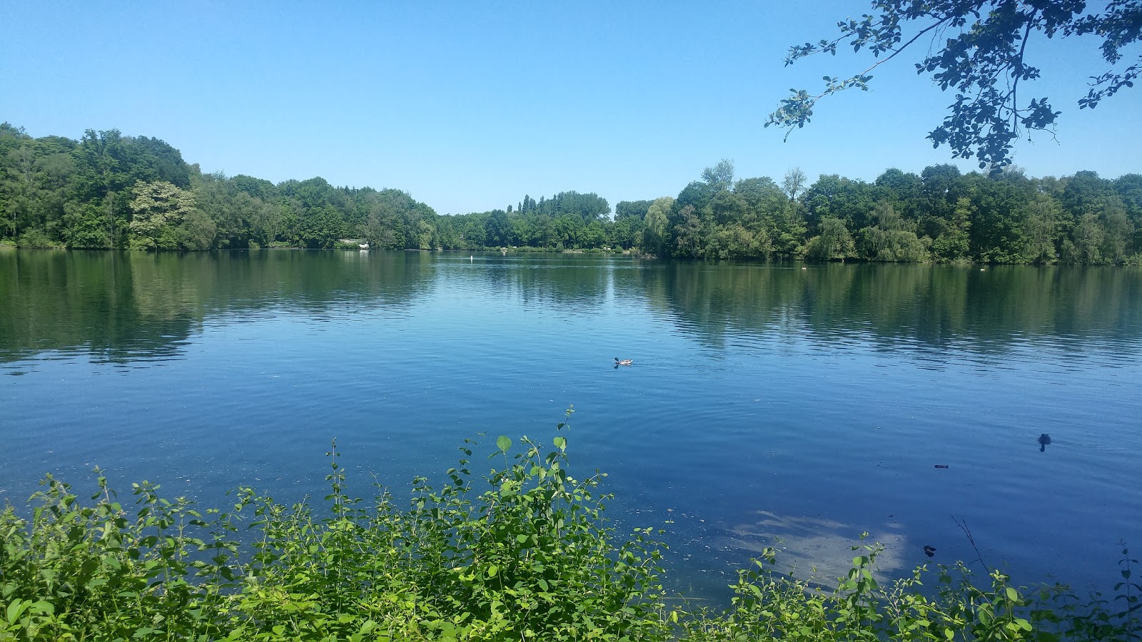 Camping Unterbacher See