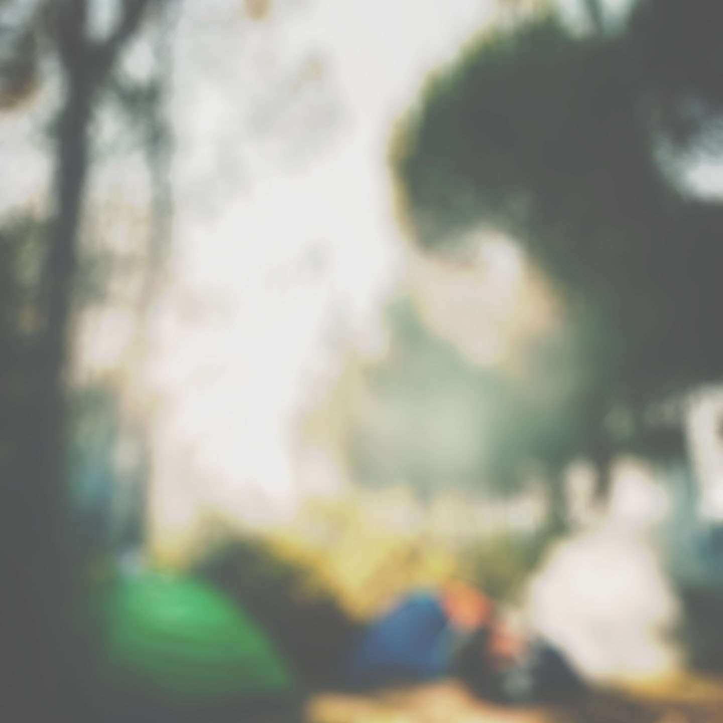 Camping Waldpark Hohenstadt