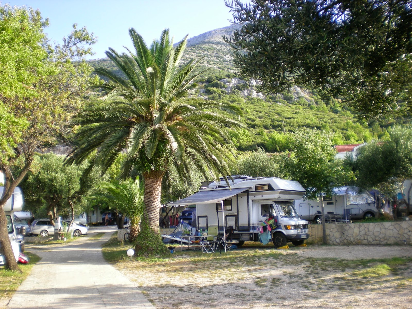 Camping Palme