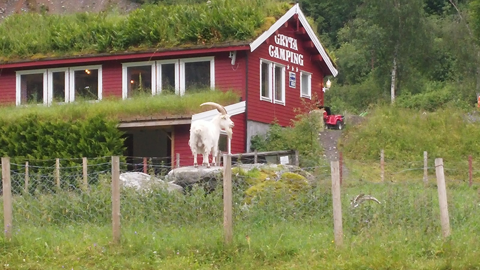 Gryta Camping