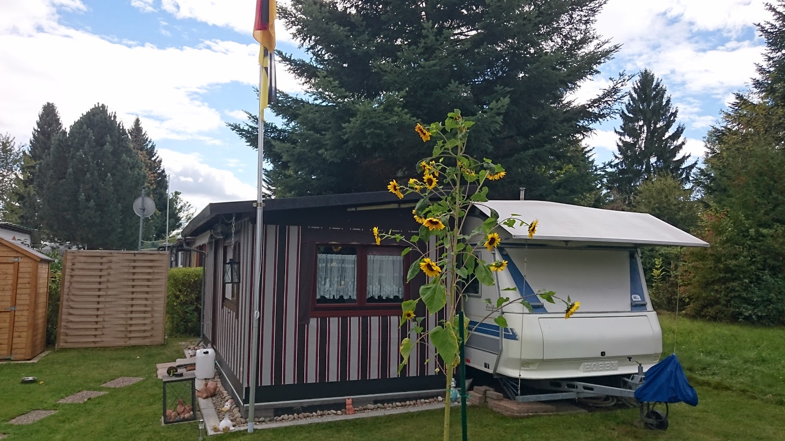 Holiday Camp