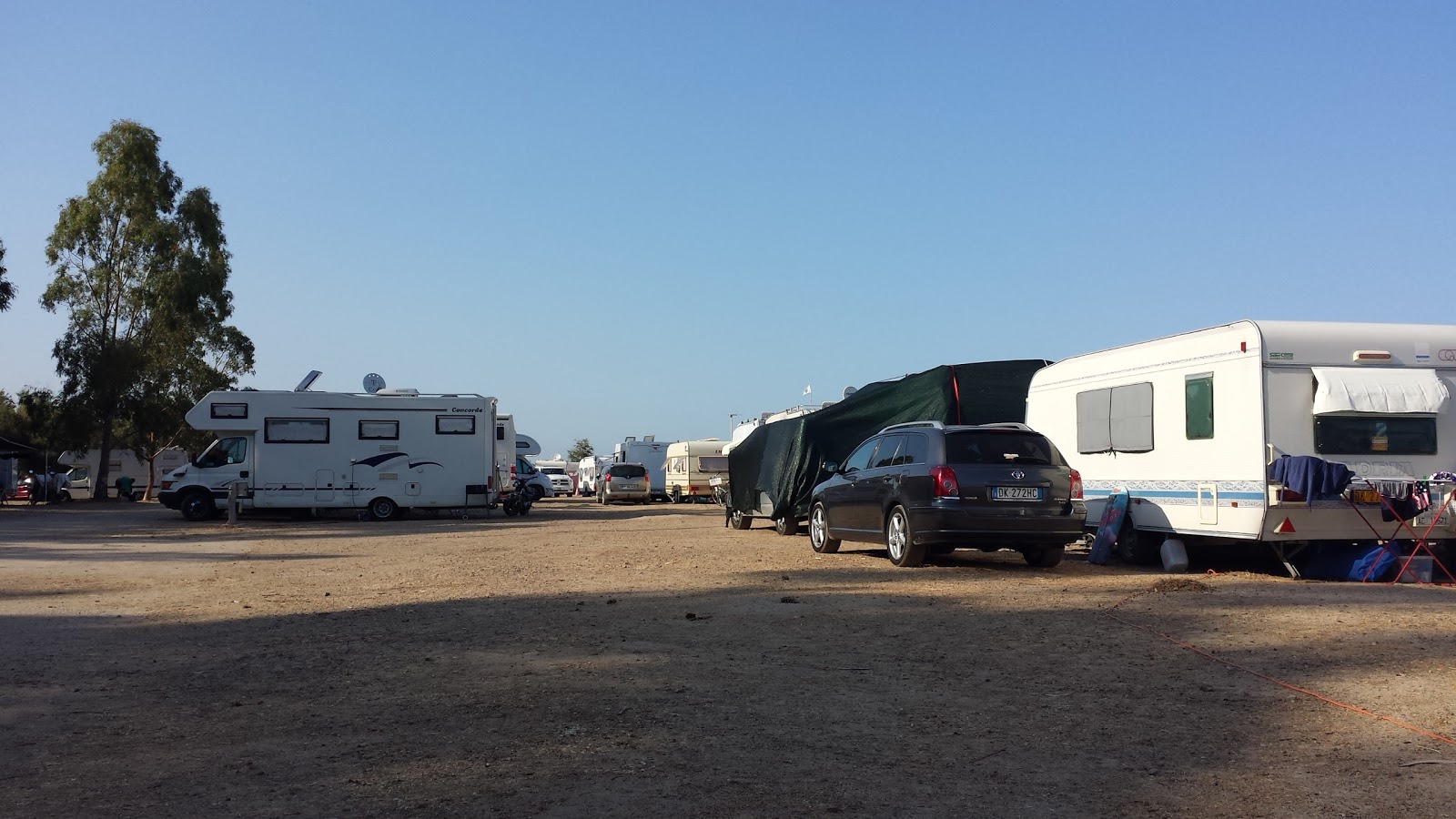 Camping Eucalyptus