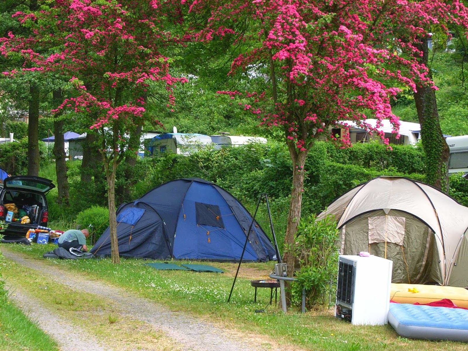 Terrassencamp Schlierbach