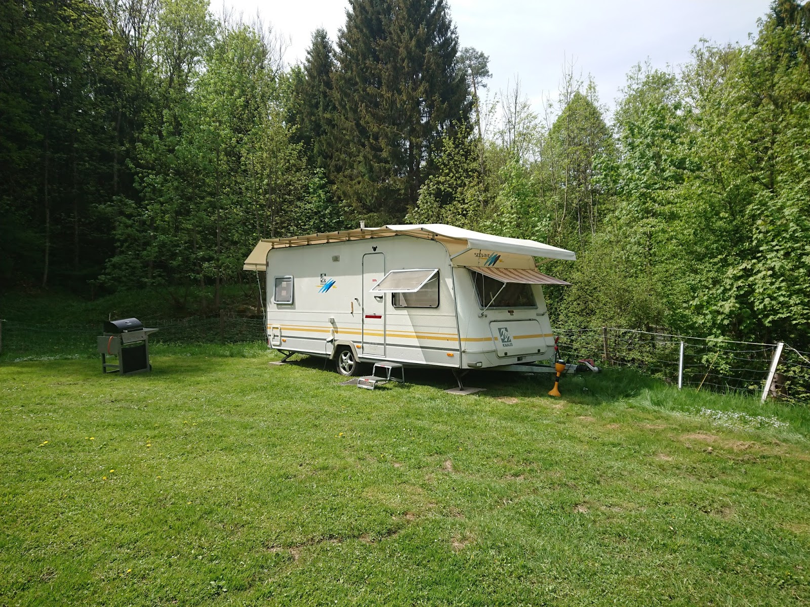 Camping Wildberg