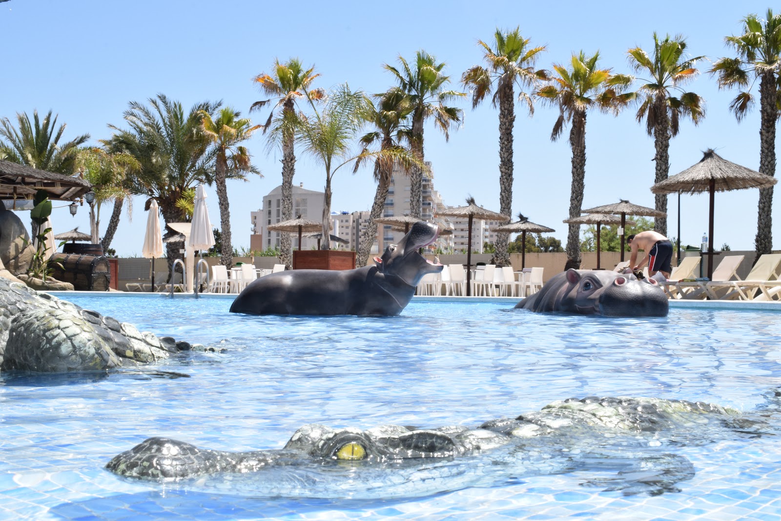 Marjal Guardamar Camping And Resort