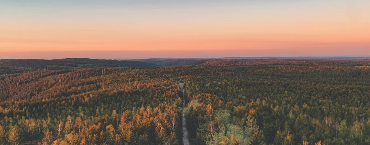 Die schönsten Wohnmobil-Routen im Schwarzwald