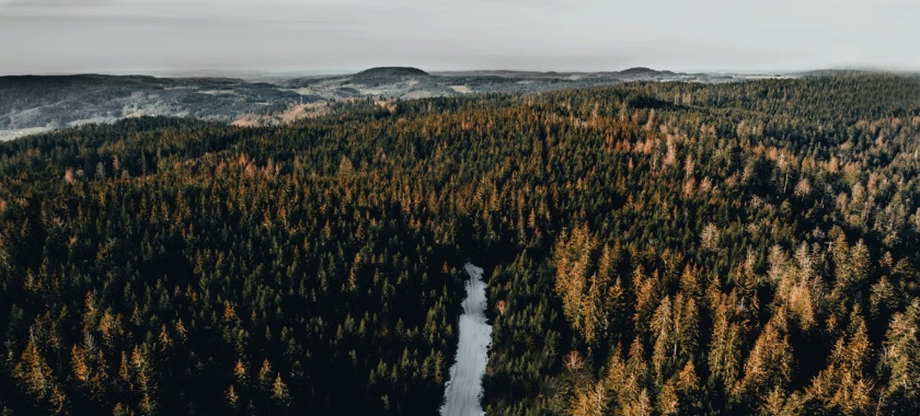 Die schönsten Wohnmobil-Routen in den Vogesen