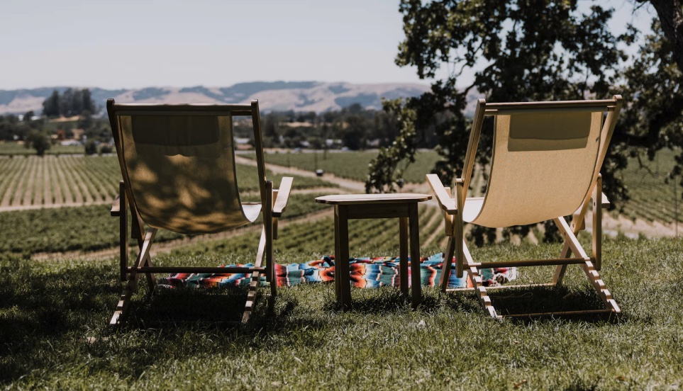 Camping in den Weinbergen: Herbstlese
