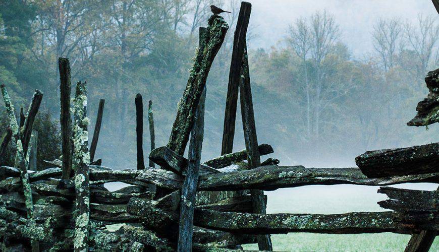 Tips for Planning the Perfect RV or Caravan Rental Adventure